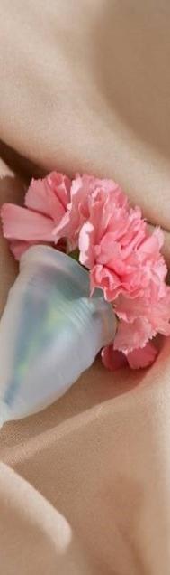 İç Dudak Estetiği, Labioplasti, Dış Dudak Estetiği, Vulvoplasti, Klitoris Estetiği, Hudoplasti, Vajinoplasti, Vajina Daraltma, Perinoplasti, Doğum İzleri Estetiği, Kızlık Zarı Onarımı, Himenorafi, Himenoplasti, G Shot, G Noktası Büyütme, Ankara Genital Estetik, Genital Estetik, Op. Dr. Ahmed Hicran FAKRADEN